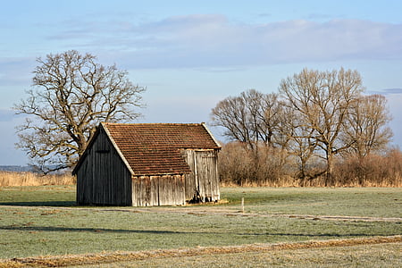 gray and brown wooden shed thumbnail