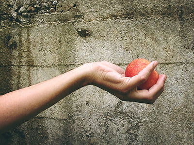 person holding red apple thumbnail
