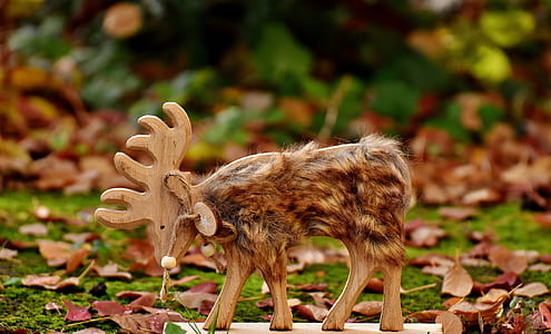 shallow focus photography of brown deer decor thumbnail