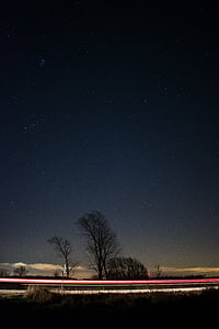 silhouette of trees near road at night time thumbnail