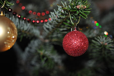 shallow focus photo of red bauble on Christmas tree thumbnail