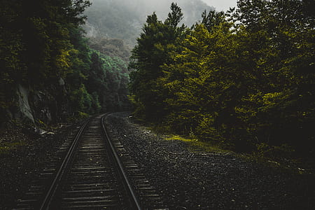 black railroad between green leaf trees at daytime thumbnail