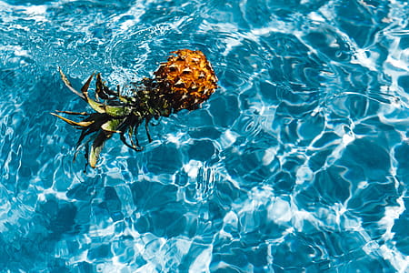 Pineapple in a swimming pool thumbnail
