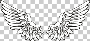 Icon Wing , Wings , pair of feather wings artwork PNG clipart