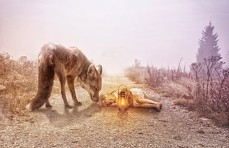 gray wolf beside girl lying on ground thumbnail