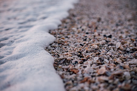 selective focus photo of seashore thumbnail