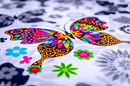 selective-color photography of multicolored butterfly mat thumbnail