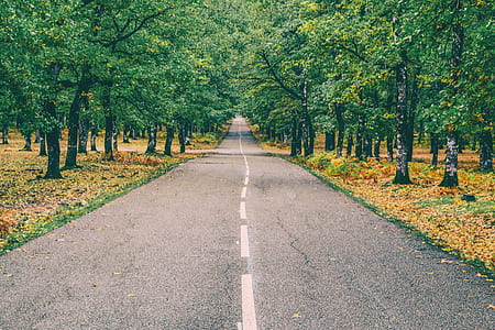 gray concrete road thumbnail