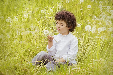 toddler holding and blowing white dandelion flower at daytime thumbnail