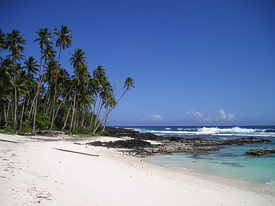 white sand beach near palm trees under blue sky during daytime thumbnail