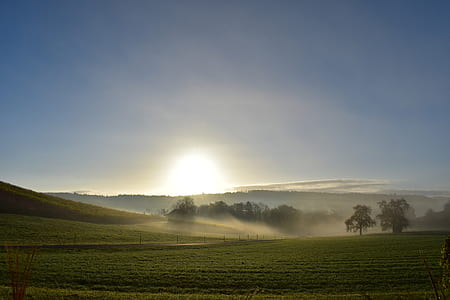 green field with fog and sunrise thumbnail