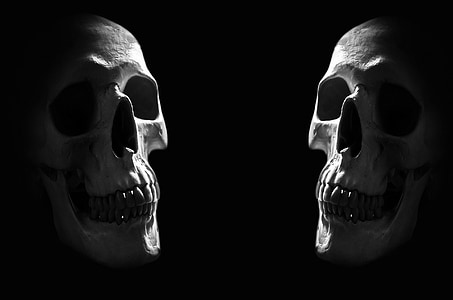 two skulls digital wallpaper thumbnail