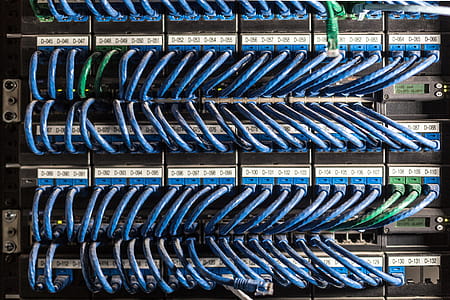 Ethernet cables connected to network ports thumbnail