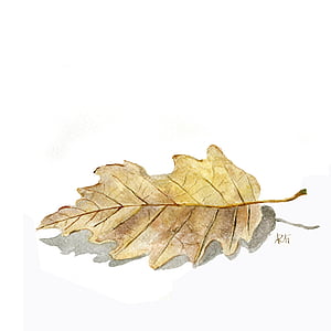 brown dry leaf thumbnail