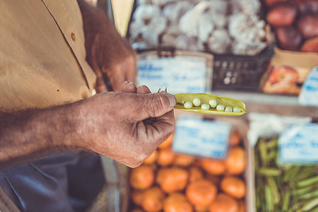 selective focus photography of person holding yellow vegetable with seed thumbnail