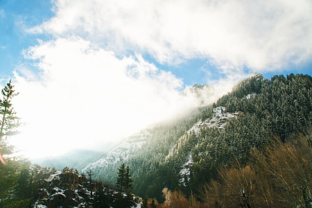 snowy mountain with forest during daytiem thumbnail