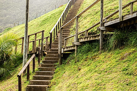 concrete staircase surrounded by green grass thumbnail