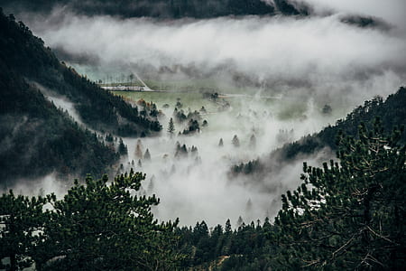mountain surrounded by fog thumbnail