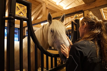 woman holding horse head thumbnail