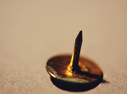 dangerous, macro, close-up, sharp thumbnail