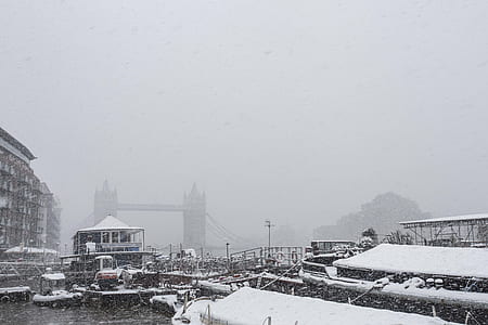 grayscale photo of boats on body of water thumbnail