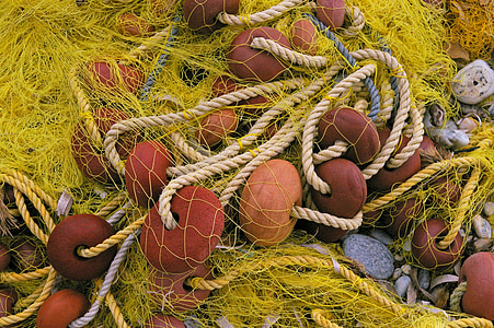 assorted buoys thumbnail