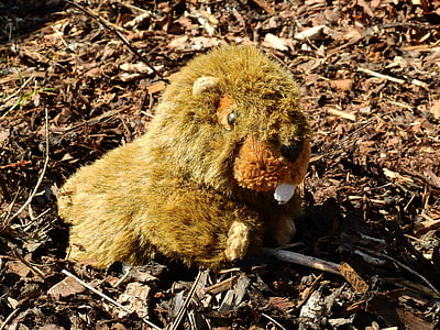 beaver plush toy on ground surrounded by dried leaves thumbnail