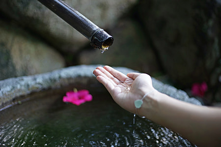 selective focus photography of person's hand near water hose thumbnail