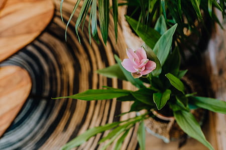 Details of modern interior with green plants thumbnail