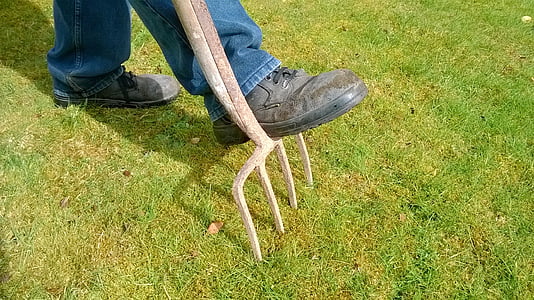 photo of person stepping on lawn rake thumbnail
