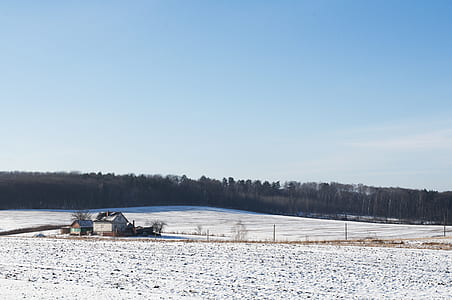 house on white snow field thumbnail