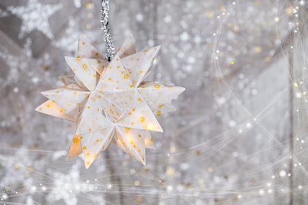shallow focus photography of white and orange flower decor thumbnail