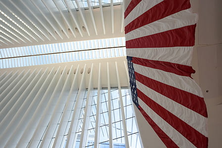 flag of USA on ceiling thumbnail