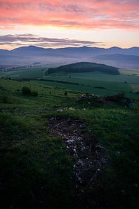 mountain covered by trees during golden hour thumbnail