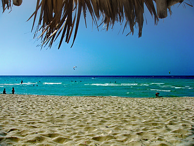 people swimming, sitting, and standing near seashore at daytime thumbnail