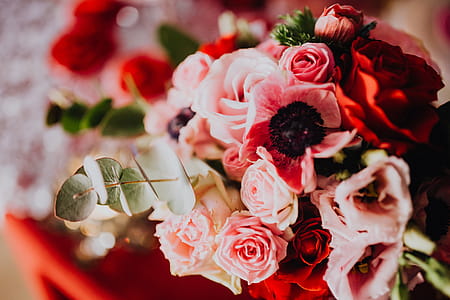 Romantic Valentine’s Day bouquets thumbnail