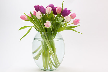 purple and pink flowers inside glass vase with water thumbnail