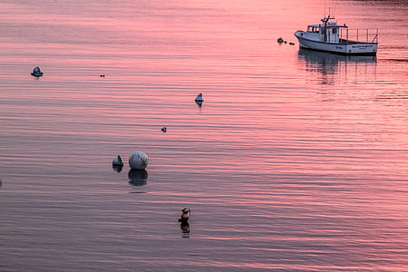 white motorboat on body of water thumbnail