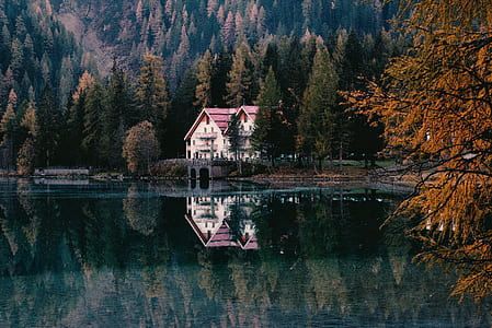 dawn, landscape, nature, vacation thumbnail