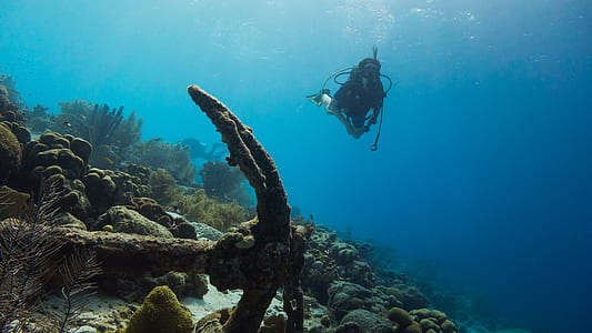 person taking photo of person underwater dive thumbnail