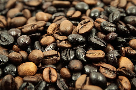 coffee bean lot thumbnail