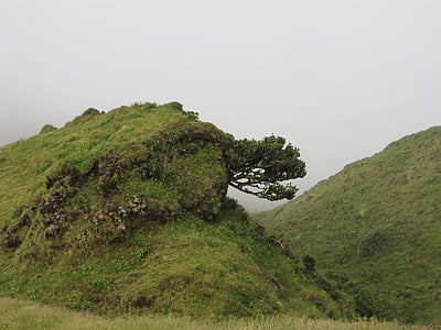 green mountain during daytime thumbnail