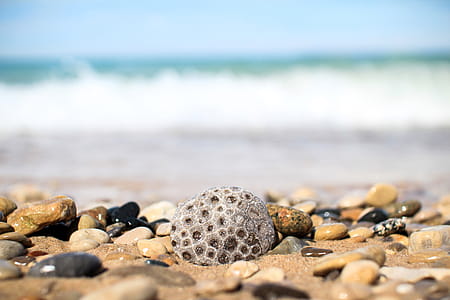 Gray and Brown Pebbles Near Sea thumbnail
