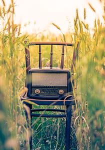 black transistor radio on brown wooden chair at the middle of field thumbnail