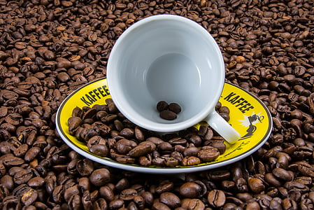 white ceramic mug on coffee nut lot thumbnail