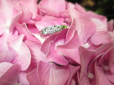 silver-colored clear gemstone ring on pink petaled flowers thumbnail