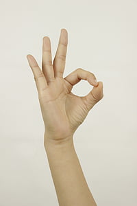 person showing ok hand gesture thumbnail