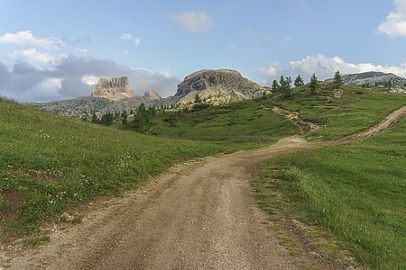 pathway between grass fields thumbnail