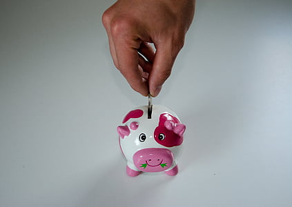 pink and white piggy bank thumbnail