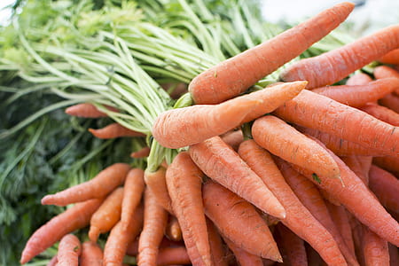 shallow focus of carrots thumbnail
